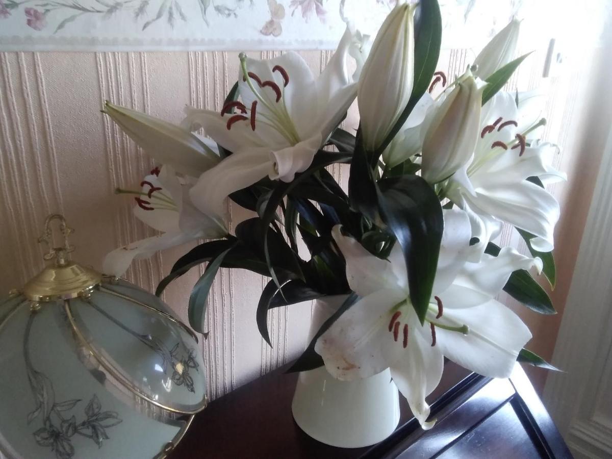 Beechlands B & B Sleights 外观 照片