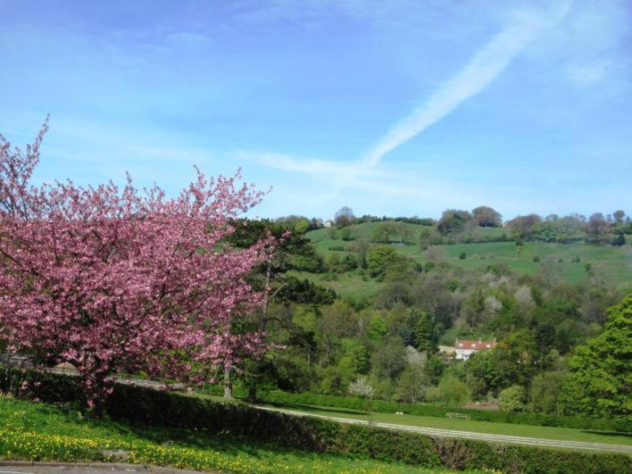 Beechlands B & B Sleights 外观 照片